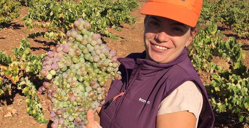 ayudas para jóvenes agricultores
