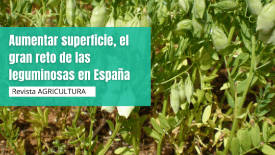 Aumentar superficie, el gran reto de las leguminosas en España