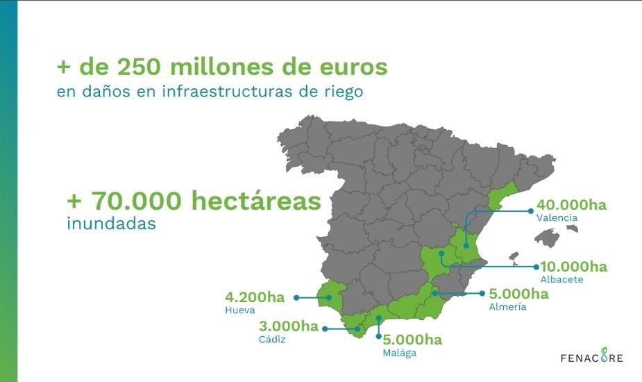 Daños DANA en el regadío