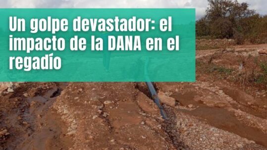 El impacto de la DANA en el regadío