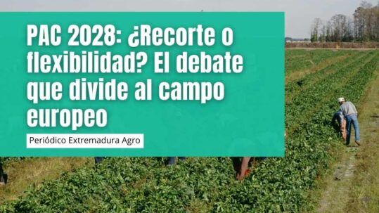 PAC 2028: ¿Recorte o flexibilidad? El debate que divide al campo europeo