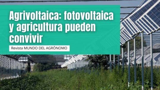 Agrivoltaica: fotovoltaica y agricultura pueden convivir