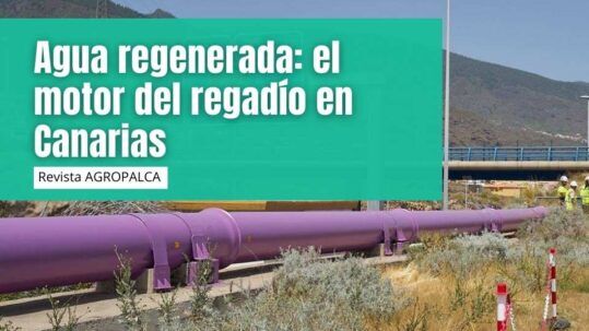 Agua regenerada: el motor del regadío en Canarias